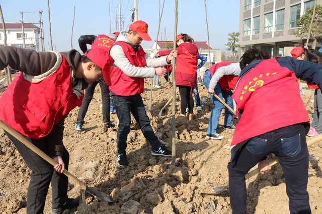 信息工程系团总支开展“学雷锋志愿服务月”义务植树活动    