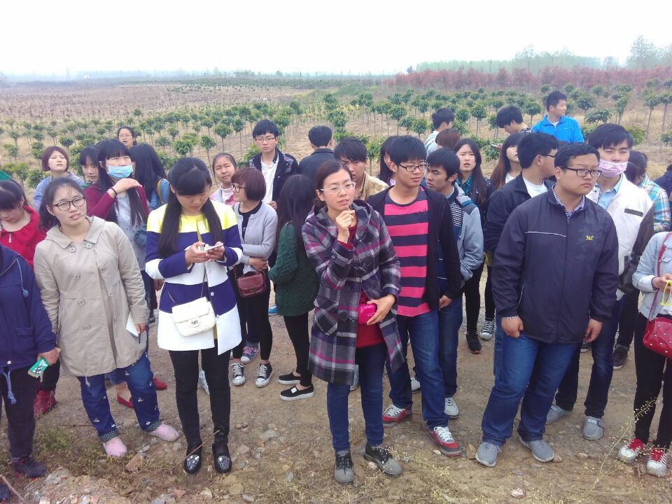 达诺 七千亩苗圃参观学习.jpg