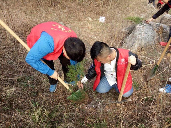 信息工程系学雷锋系列活动之义务植树    