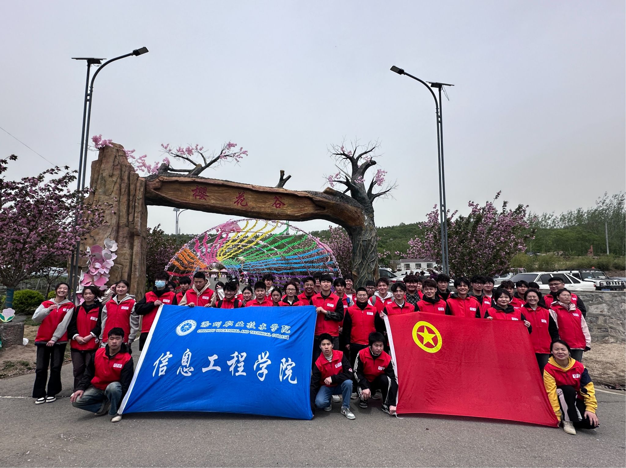青春志愿行，樱约正当时——信息工程学院赴来安樱花谷开展志愿服务活动