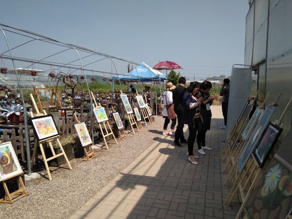 4 多肉植物主题画展_副本.jpg